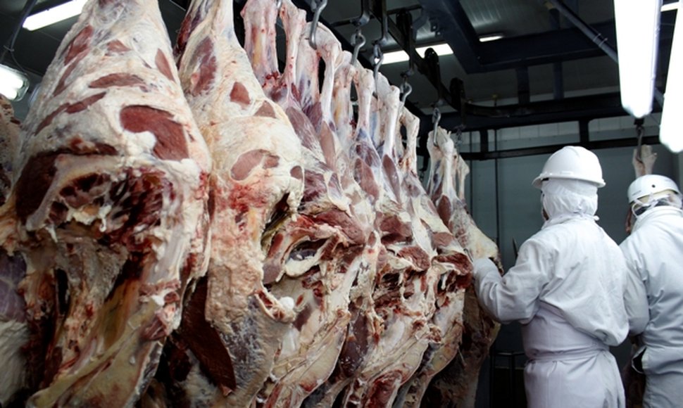 Incrementa exportación de carne bovina en Nicaragua