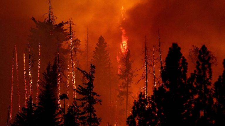 California en Estado de Emergencia por voraz incendio