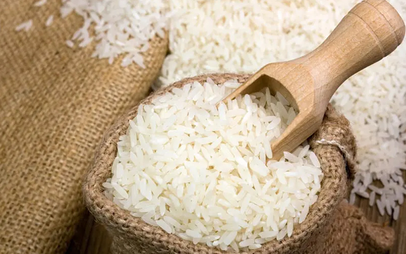 A buen ritmo avanza siembra de arroz secano en el primer ciclo 2022-2023