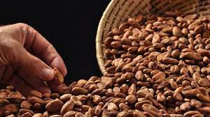 Fortalecimiento a los pequeños negocios del rubro de Cacao