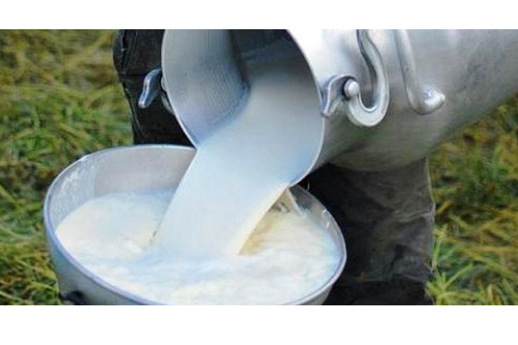 Productores de lácteos de Granada se capacitan para mejorar la producción