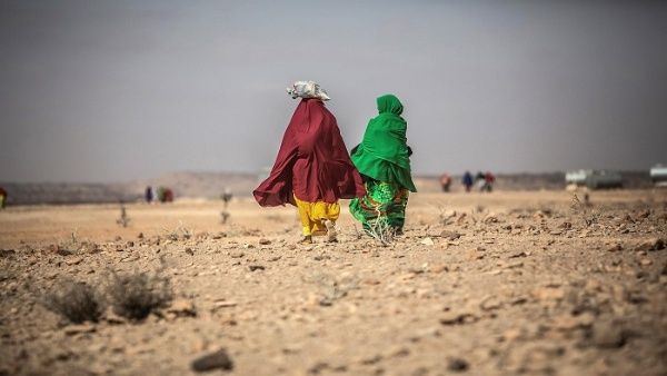 Alertan de 730 muertes por desnutrición infantil en Somalia en 2022