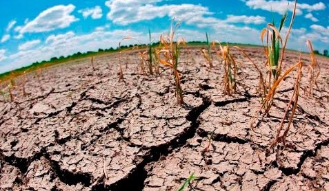 FAO ve al corredor  seco centroamericano como una oportunidad