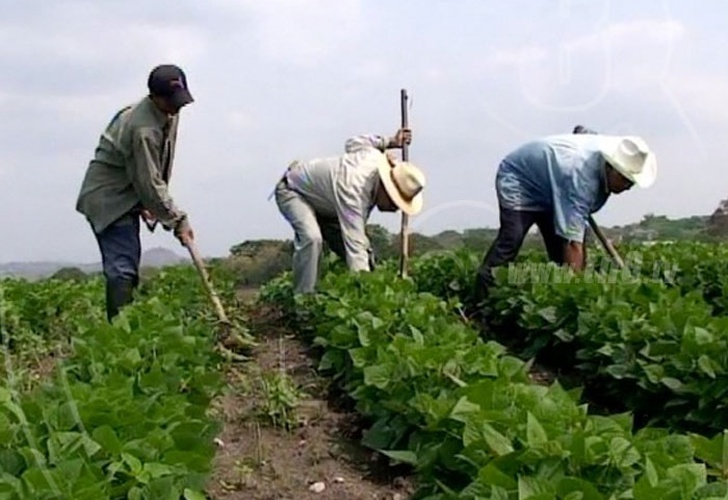 Nicaragua y Costa Rica firman convenio que beneficiará a trabajadores agrícolas