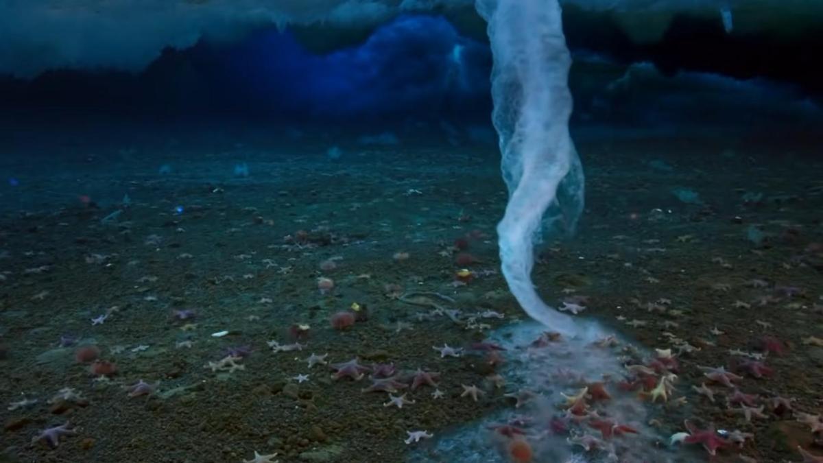 ¿Qué es el dedo de la muerte que asecha el océano antártico?