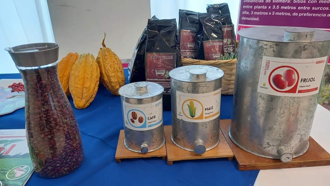 Presentan Resultados de los cultivos de café, cacao, frijol y abonos orgánico