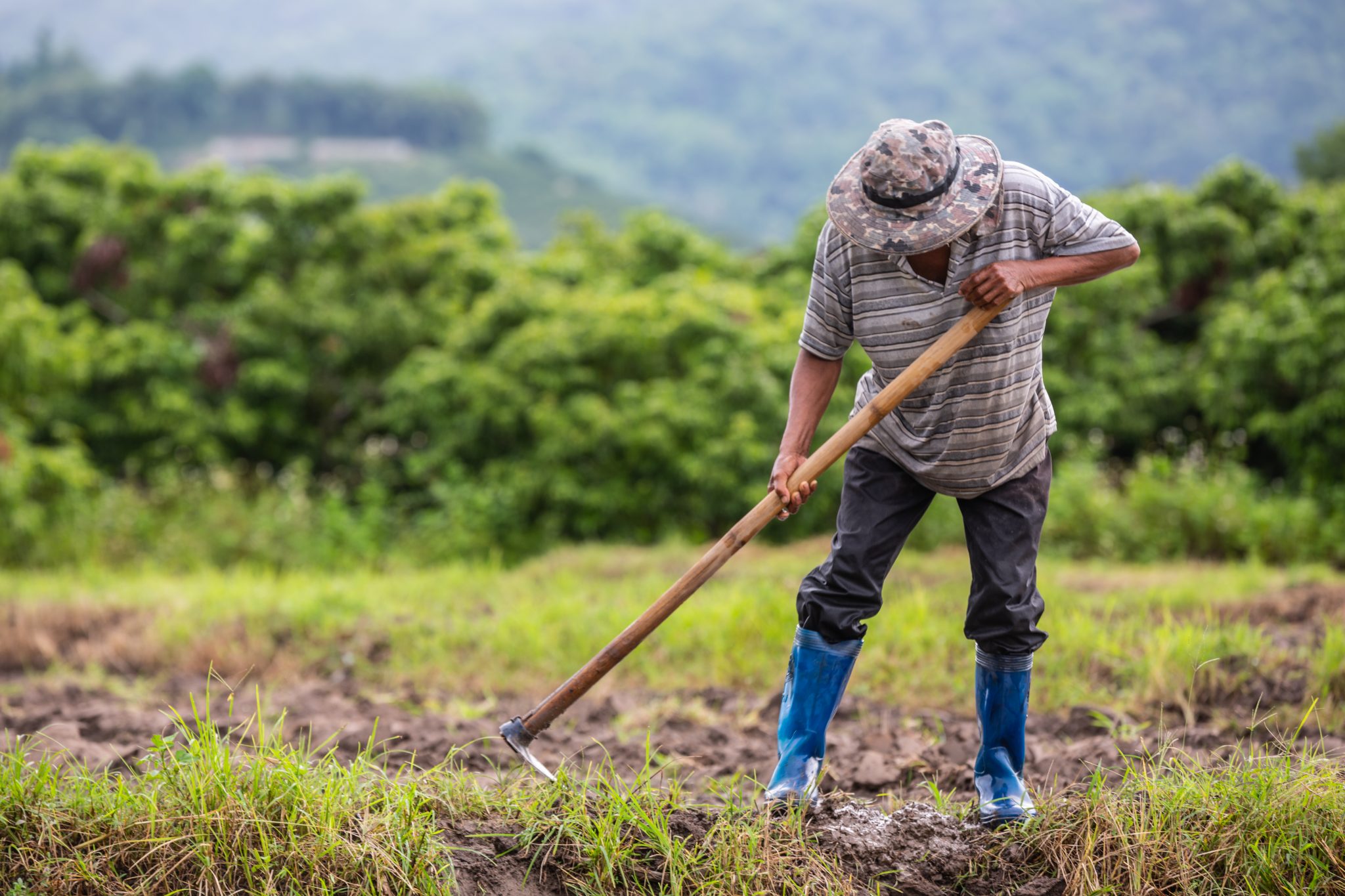 Nicaragua tuvo un  crecimiento en la producción agrícola en el 2022