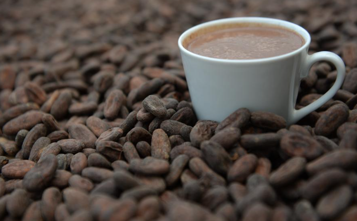 Crece producción de cacao en Nicaragua