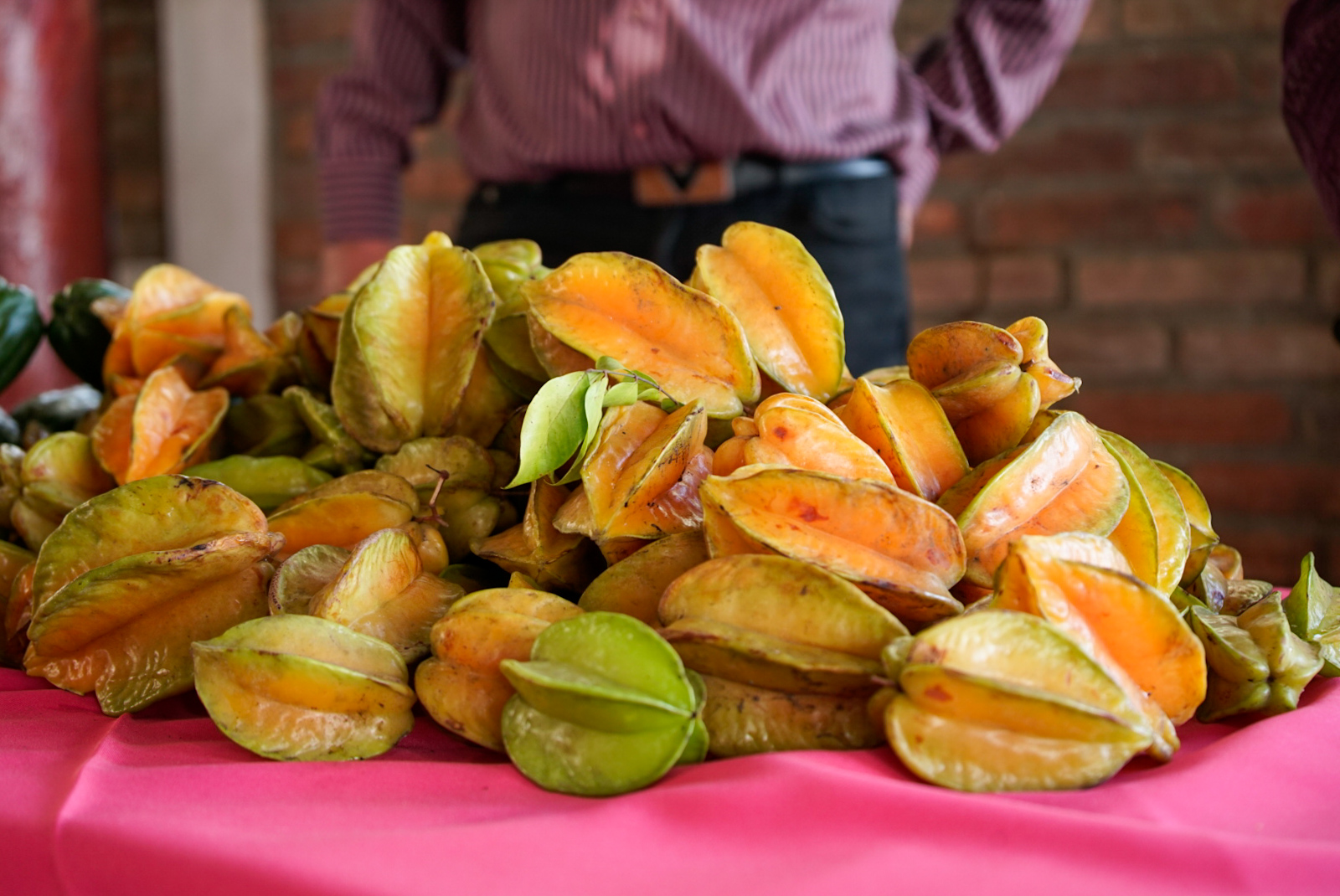 Productores de frutas nicaragüenses con altas expectativas