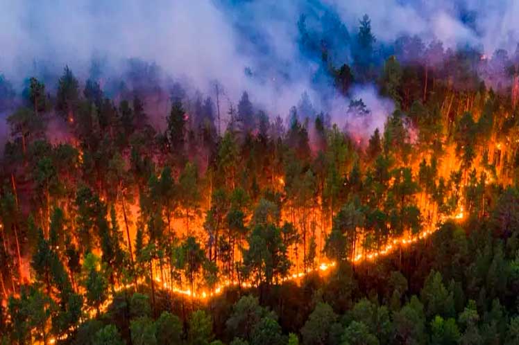 ¡Toque de queda! declara Chile en las zonas afectadas por el incendio