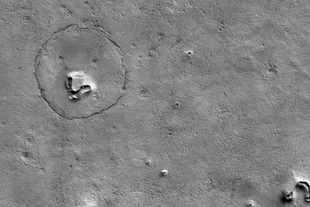 Descubren imagen de un Oso en Marte