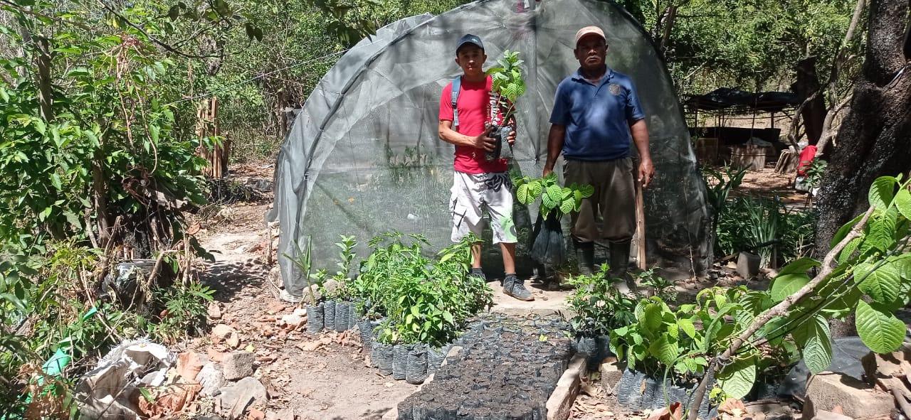 Establecimientos de viveros en Nicaragua