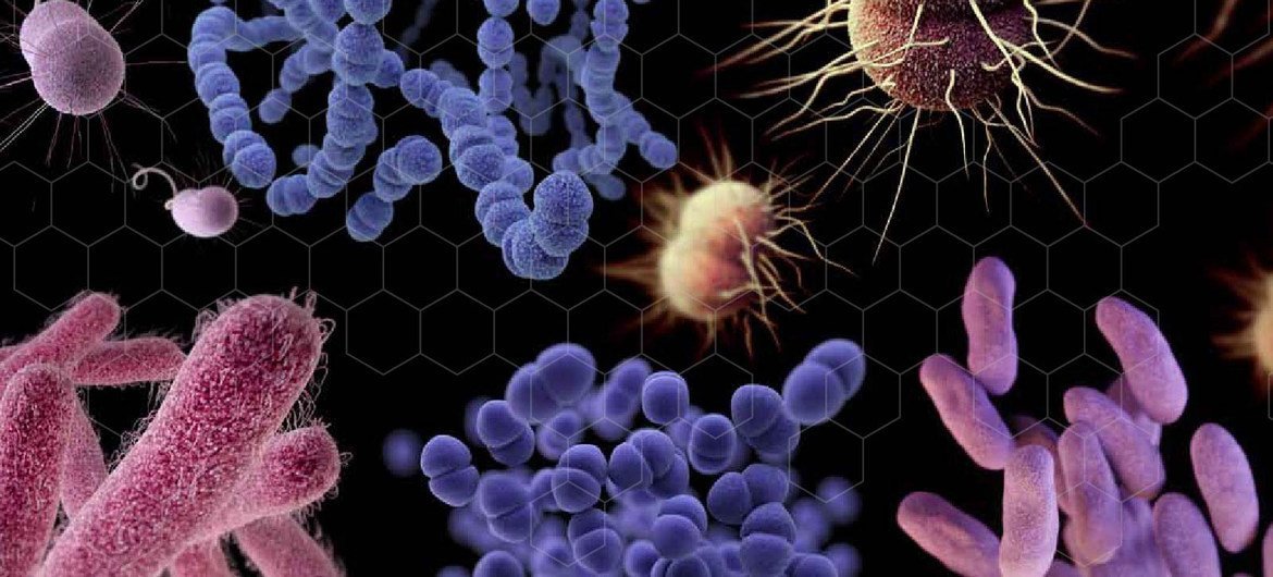 ONU solicita combatir la  propagación de las superbacterias