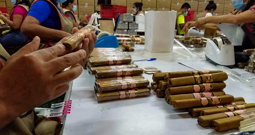 Nicaragua continúa dando estabilidad laboral en la industria del Tabaco