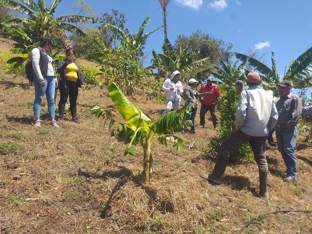 Nicaragua implementa alternativas de cosecha de agua