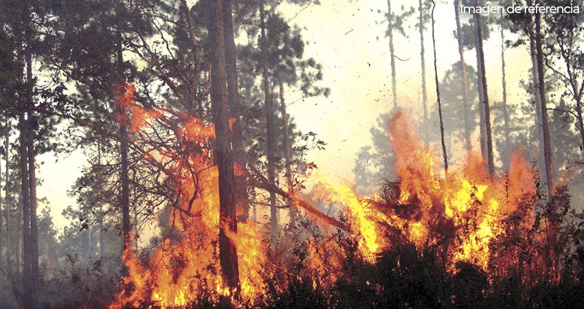 Ejercito de Nicaragua sofoca incendió forestal en Matagalpa