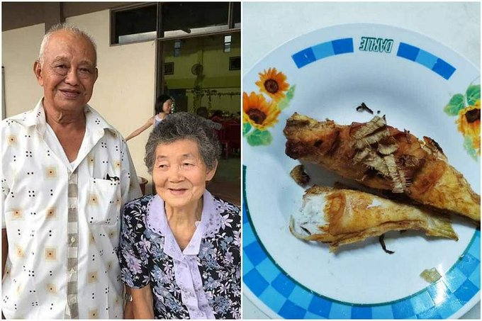 Pareja de ancianos en Malasia mueren por consumir pez globo