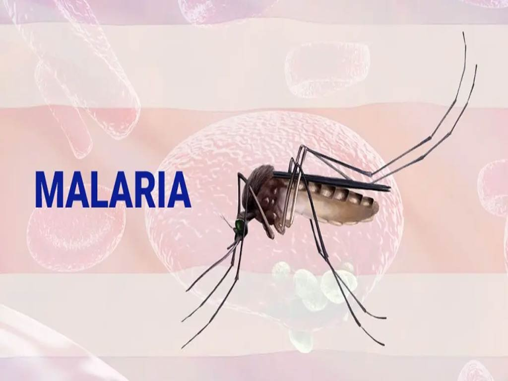 Ascienden casos de malaria en Costa Rica