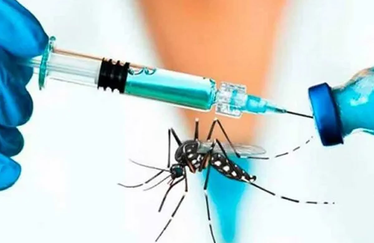 Rusia y Nicaragua crean vacuna contra el dengue