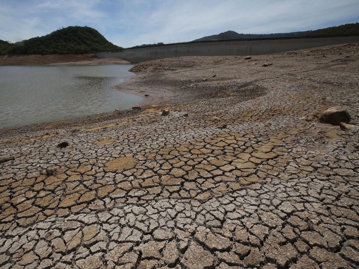 Honduras declara alerta verde por sequía extrema 