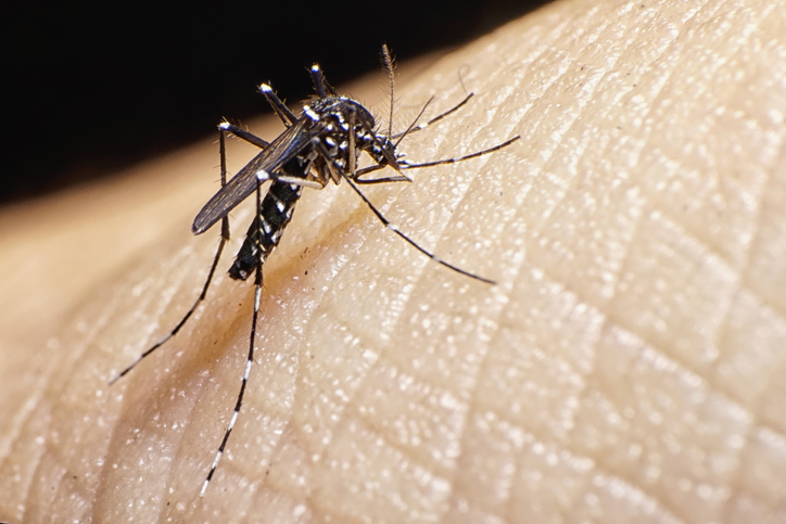 Descenso significativo en casos de Malaria, Dengue y Neumonía en Nicaragua