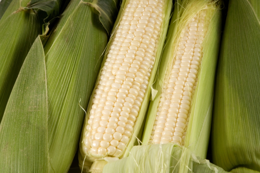 ¿Sabías que Nicaragua es el segundo país latinoamericano donde se consume más maíz?