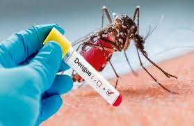 521 Casos por Dengue y 5 por Leptospirosis