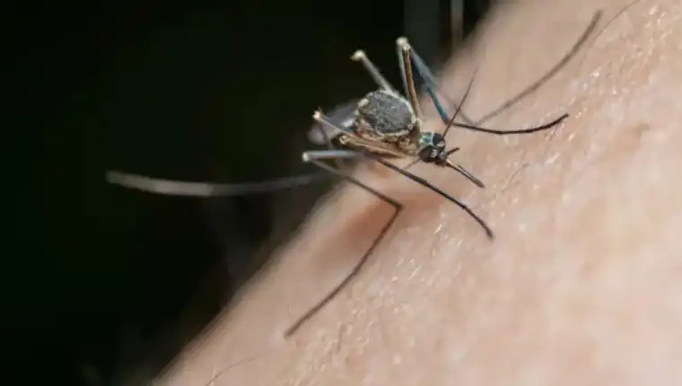Multiplican muertos por dengue en Guatemala