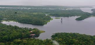 Nicaragua inicia formulación del Proyecto de Conservación en Bosawas e Indio Maíz