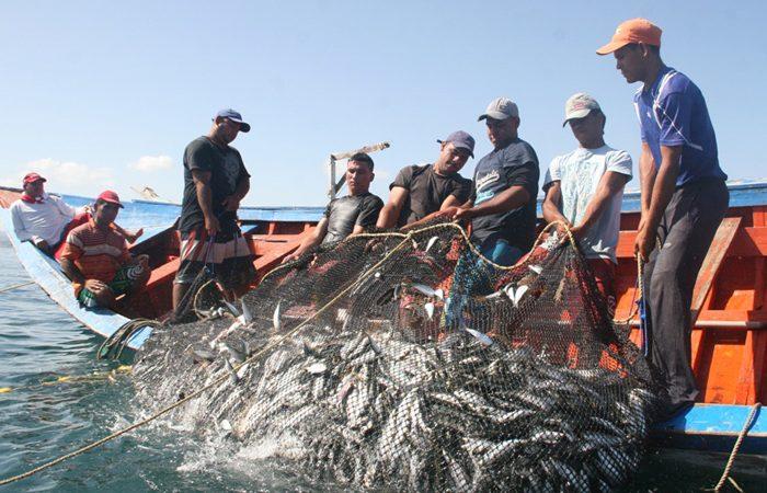 Nicaragua Rompe Barreras Al Alcanzar Exportaciones Pesqueras Cercanas a los 300 Millones de Dólares en 2023
