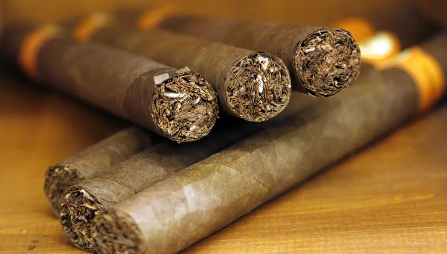 Tabaco de Nicaragua crece en exportaciones 
