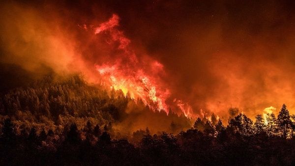 Emergencia en Chubut, Argentina: Devastador Incendio Consumió 2.500 Hectáreas de Terreno