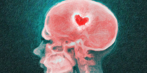 Explorando la Química del Amor: Los Procesos Cerebrales Detrás del Enamoramiento