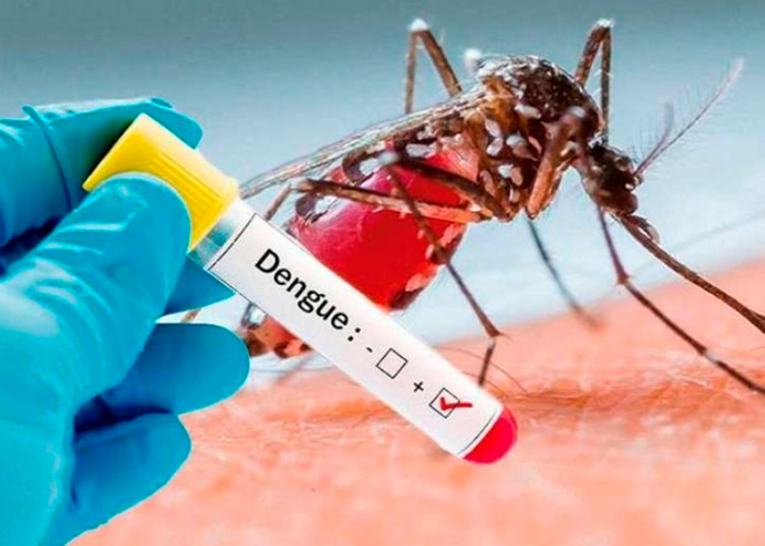 Emergencia en América Latina por el incremento de casos de Dengue