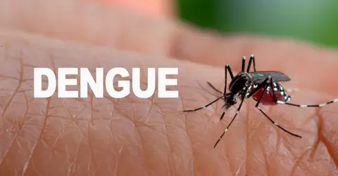 En Nicaragua disminuyen casos de Dengue