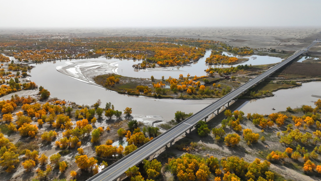 Desierto de China se convertirá en bosque