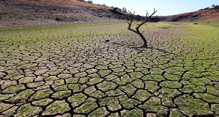 Se necesitan mil millones diarios para combatir la sequía mundial